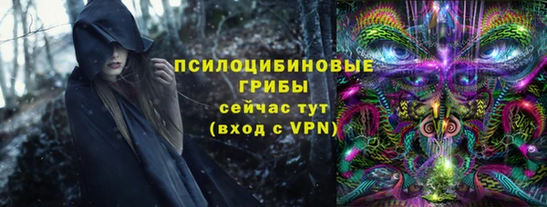 спайс Богородицк