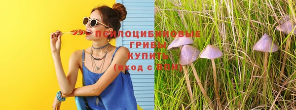 круглые Богданович
