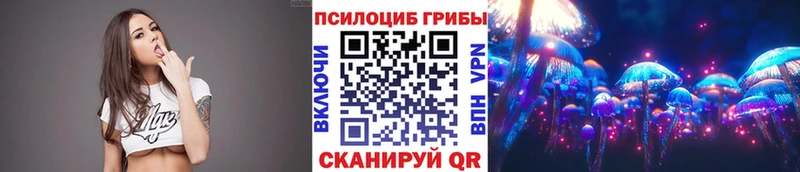 МЕГА как зайти  Малая Вишера  Галлюциногенные грибы Psilocybe  цены  